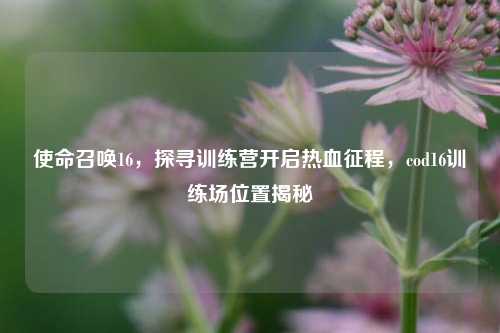 使命召唤16,探寻训练营开启热血征程,cod16训练场位置揭秘