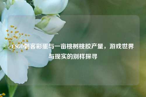 CSGO刺客彩蛋与一亩桃树桃胶产量，游戏世界与现实的别样探寻