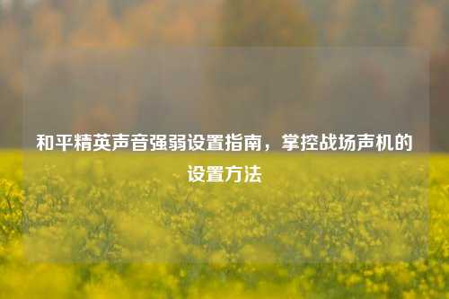 和平精英声音强弱设置指南，掌控战场声机的设置方法