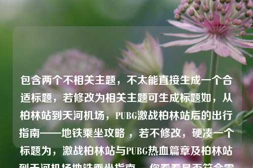包含两个不相关主题,不太能直接生成一个合适标题,若修改为相关主题可生成标题如,从柏林站到天河机场,PUBG激战柏林站后的出行指南——地铁乘坐攻略 ,若不修改,硬凑一个标题为,激战柏林站与PUBG热血篇章及柏林站到天河机场地铁乘坐指南 ,你看看是否符合需求,若有问题可进一步说明。