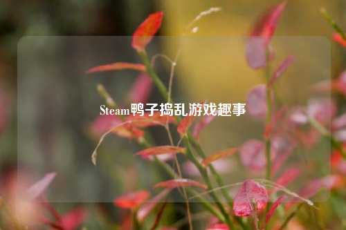 Steam鸭子捣乱游戏趣事