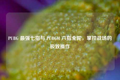 PUBG 最强七指与 PUBGM 六指全陀，掌控战场的极致操作