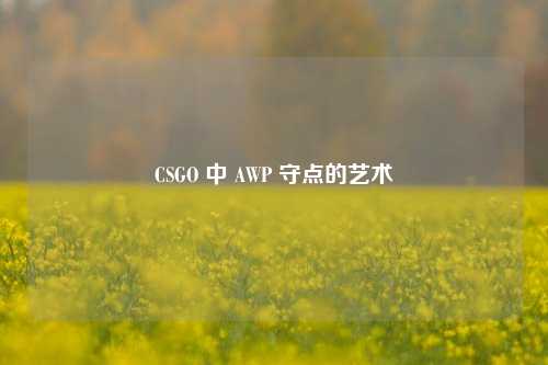CSGO 中 AWP 守点的艺术
