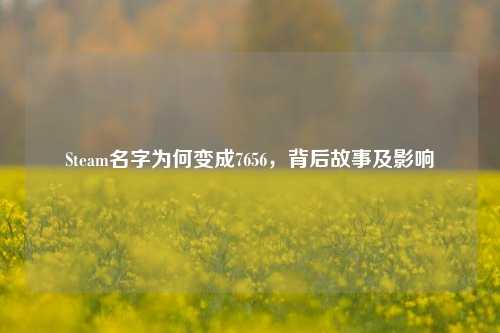 Steam名字为何变成7656，背后故事及影响