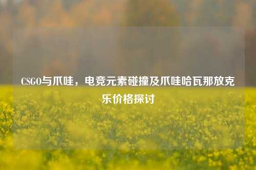 CSGO与爪哇，电竞元素碰撞及爪哇哈瓦那放克乐价格探讨