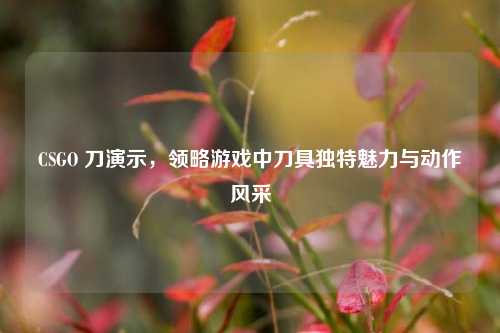 CSGO 刀演示,领略游戏中刀具独特魅力与动作风采