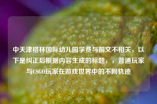 中天津格林国际幼儿园学费与前文不相关，以下是纠正后根据内容生成的标题，，普通玩家与CSGO玩家在游戏世界中的不同轨迹
