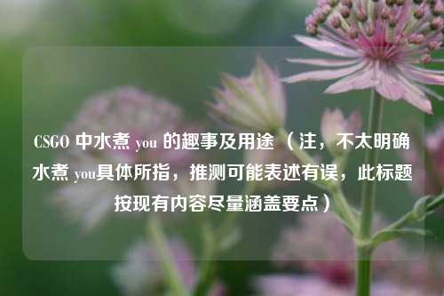 CSGO 中水煮 you 的趣事及用途 （注，不太明确水煮 you具体所指，推测可能表述有误，此标题按现有内容尽量涵盖要点）