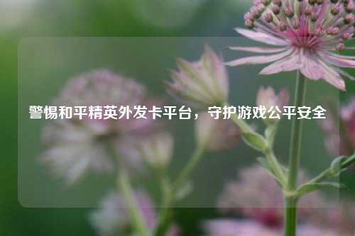 警惕和平精英外发卡平台，守护游戏公平安全