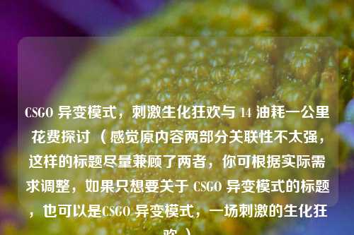 CSGO 异变模式，刺激生化狂欢与 14 油耗一公里花费探讨 （感觉原内容两部分关联性不太强，这样的标题尽量兼顾了两者，你可根据实际需求调整，如果只想要关于 CSGO 异变模式的标题，也可以是CSGO 异变模式，一场刺激的生化狂欢 ）