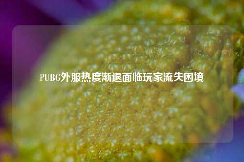 PUBG外服热度渐退面临玩家流失困境