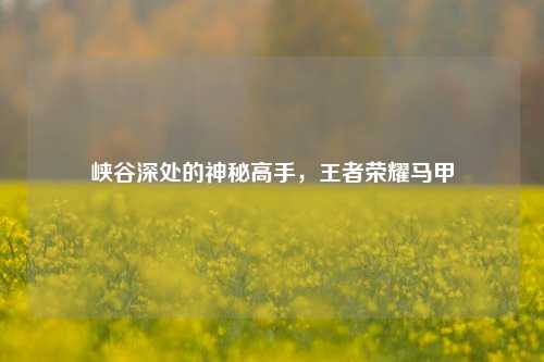 峡谷深处的神秘高手，王者荣耀马甲