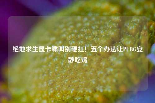 绝地求生显卡啸叫别硬扛!五个办法让PUBG安静吃鸡