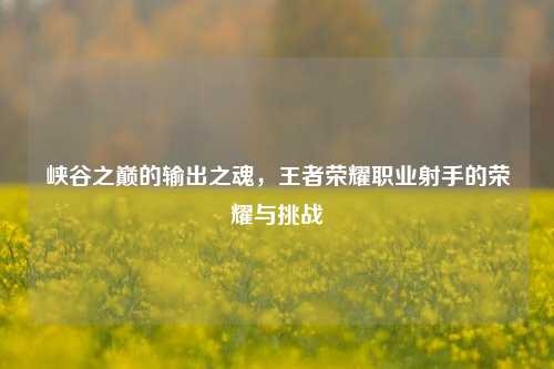 峡谷之巅的输出之魂，王者荣耀职业射手的荣耀与挑战