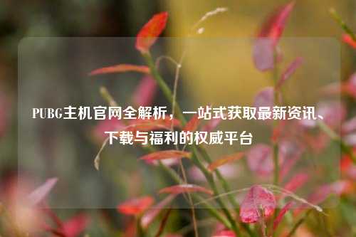 PUBG主机官网全解析，一站式获取最新资讯、下载与福利的权威平台